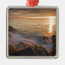 Search for san juan island christmas tree decorations Puget sound