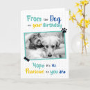 Search for from dog to owner birthday cards For him