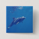 Search for bottlenose badges Animal