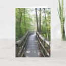 Search for boardwalk cards Trail