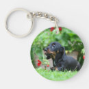 Search for smooth key rings Puppy