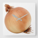 Search for onion clocks Vegetable
