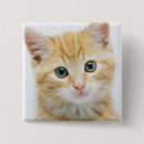 Search for tabby badges Animal