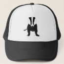 Search for badgers Mammal