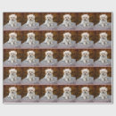 Search for maltese wrapping paper Cute