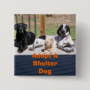 Search for shelters badges Puppies