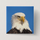 Search for homer badges Eagle