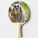 Search for furry ping pong paddles Baby