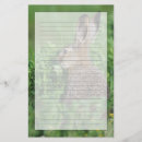 Search for lepus Field