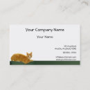 Search for tabby business cards Pet care