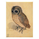 Search for albrecht durer art Bird