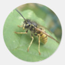 Search for macro stickers Wildlife