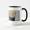 Search for red panda coffee mugs Photography
