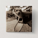 Search for dogs pets badges Whimsical