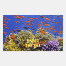 Search for blue coral reef stickers Ocean