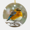 Search for bluebird christmas tree decorations Snow