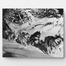 Search for race plaques Usa