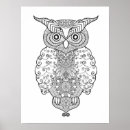 Search for doodle owl posters Zendoodle