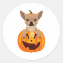 Search for thanksgiving dog stickers Pumpkin