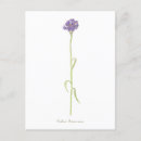 Search for button postcards Floral