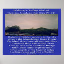 Search for pet supplies Poem