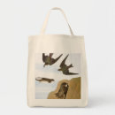 Search for swallows bags Audubon