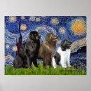 Search for newfoundlander art Dogs