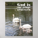 Search for swan image posters Swans