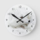 Search for churchill clocks Arctic fox