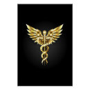 Search for caduceus posters Graduate