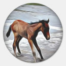 Search for foals stickers Horse