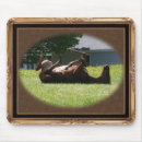 Search for foals mousepads Equestrian