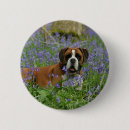 Search for lay badges Lying down