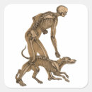 Search for human skeleton stickers Biology