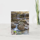 Search for hens cards Rustic