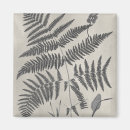 Search for ferns magnets Leaves