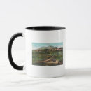 Search for shasta mugs Aerial