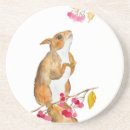Search for squirrel coasters Nature