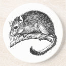 Search for dormouse Vintage