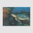 Search for ocean tissue paper Coral