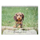 Search for dachshund calendars Pet