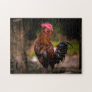Search for rooster puzzles Nature