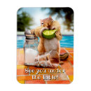 Search for chipmunks magnets Avanti press