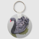 Search for black swan key rings Nature