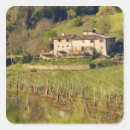 Search for jani stickers Vineyard