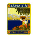 Search for jamaica magnets Island