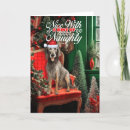 Search for hound christmas cards Pets