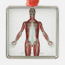 Search for muscle home christmas tree decorations Vertical