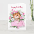 Search for cat in box cards Animal