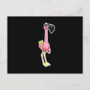 Search for flamingo picture postcards Flamingos